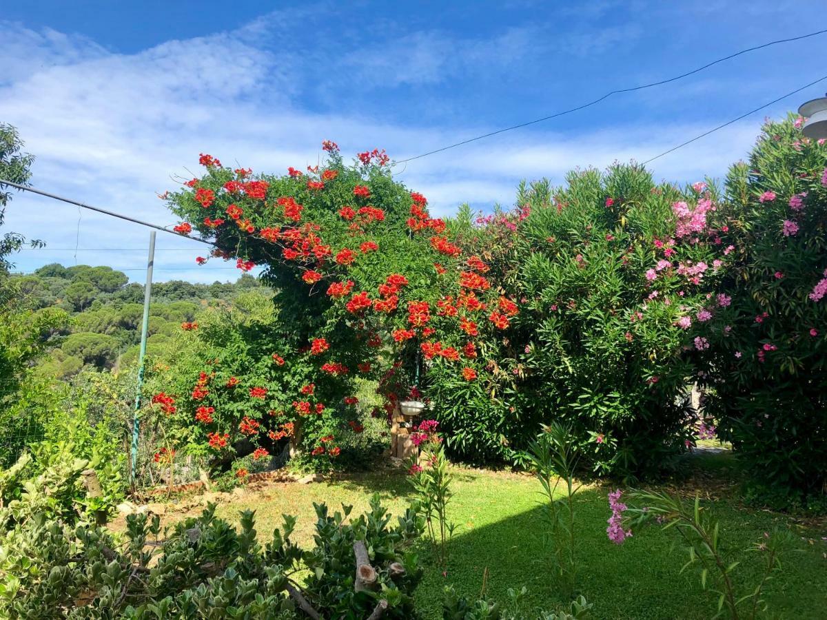 La polveriera home Campiglia Marittima Esterno foto