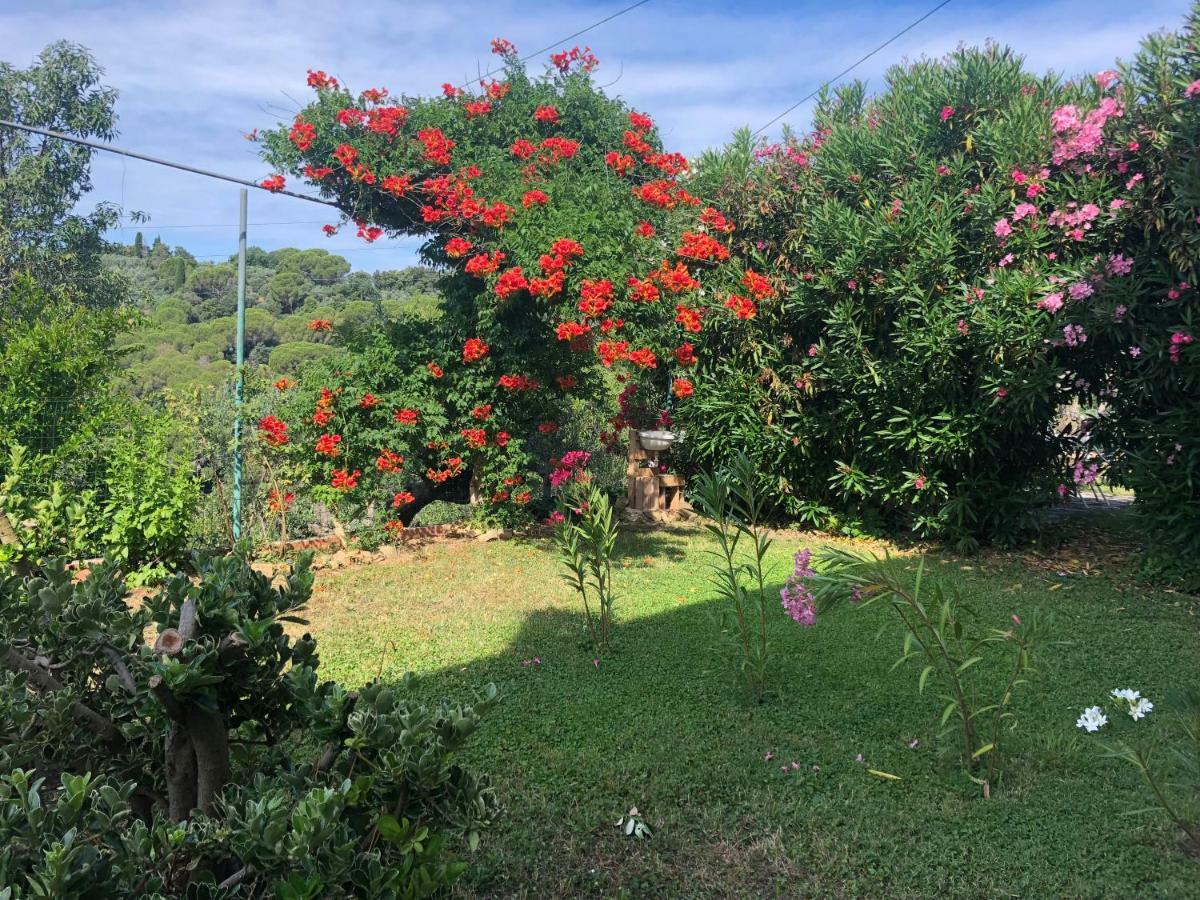 La polveriera home Campiglia Marittima Esterno foto